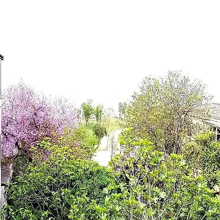 Yasin איסטמבול